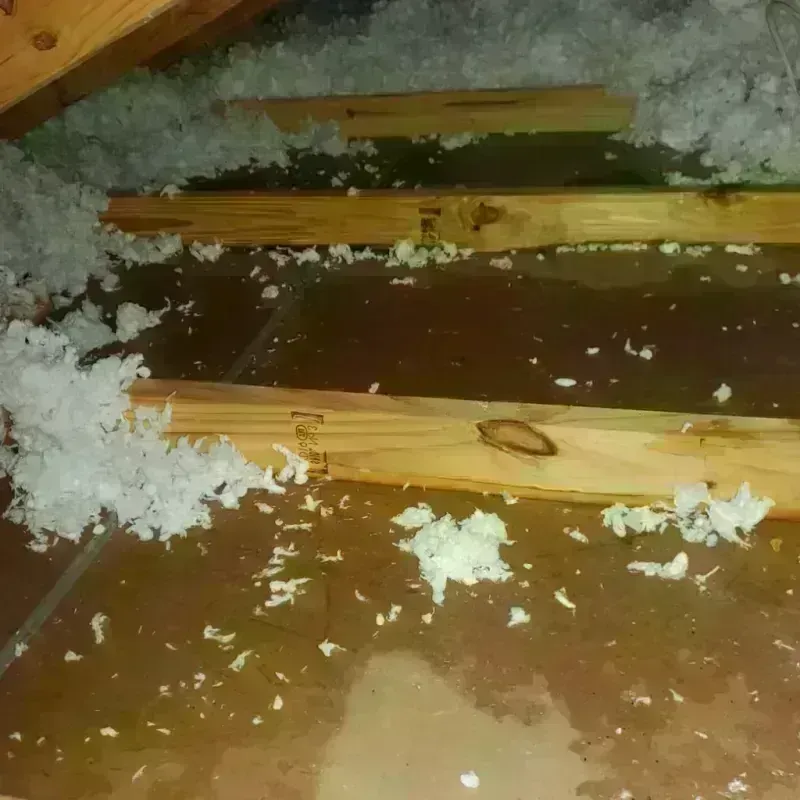 Attic Water Damage in San Diego, CA